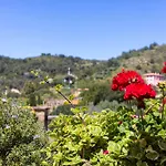 Eleven Tuscany Appartement Bagnaia (Livorno)